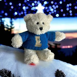 Dankin White Teddy Bear Plush Blue Sweater Embroidered Plastic Eyes Big Lots